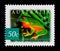 Orange-thighed Tree Frog Litoria xanthomera, Nature of Australia - Rainforests serie, circa 2003