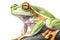 Orange-thighed tree frog in style of watercolor pencils on white paper, AI generative