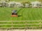 An orange tractor cutting grass on farmland