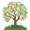 Orange tree isolate on a white background. Vector graphics