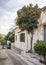 Orange tree on the narrow street of the Anafiotika district near the Acropolis in the city of Athens, Greece