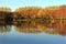 Orange Trees in Autumn from Across the Pond