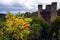 Orange trees in the castle of Tomar, Portugal