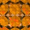 Orange triangulated shape study wallpaper