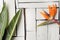 Orange tropical flowers and exotic leaves lie on a table of white plaque boards. A bird of paradise.