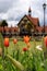 Orange tulips with the Rotorua Museum behind at Government Gardens. Rotorua city centre, New Zealand. September 2020
