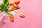 Orange ulips on pink background with a copy space for an advertisement. Women`s day greeting card