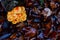 orange velvet stem winter mushroom with many brown leaves