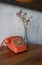 Orange vintage analog hand dial telephone with dry violet flower with clear vase on timber table