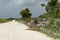 Orange Walk, Belize - May 21, 2017: Trash dumped next to road - highlights the issue of roadside garbage disposal in Latin America