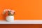 Orange wall with flowers on shelf white wood, copy space for text.