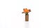 Orange watercolor flower into a riffle bullet symbolizing flower