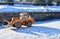 An orange wheel loader on wheels with a bucket moves in the low of the quarry