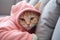 An Orange And White Cat Wearing A Pink Hoodie