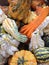 Orange, white, and green gourds detail