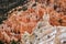 Orange And White Hoodoo Rocks In Bryce Canyon, USA