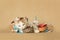 Orange and white kitten playing inside of fall themed paper chain,