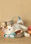 Orange and white kitten playing inside of fall themed paper chain,