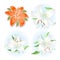 Orange & white lilies set