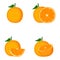 Orange, whole fruit, slice, vector illustration