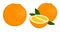 Orange whole and half of orange. Citrus fruit. Vector illustration of oranges on white background.