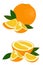 Orange whole, half and slice of orange with leaves on white background. Citrus fruit. Vector illustration of oranges on