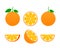 Orange whole and slices of oranges. Vector illustration of oranges. Fully editable handmade mesh.