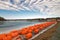 Orange Winter dry docked boat barriers