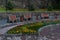 orange wooden bench with trash cans nearby, on stone path with flower beds with colorful yellow and red flowers in park alley