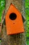 Orange wooden birdhouse on tree. Nesting box for wild birds. House for birds