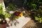 An orange wooden kennel for turtles in the garden Pesaro, Italy