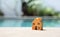 Orange wooden miniature house over blurred swimming pool