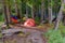 Orange, yellow, and blue tents set up under evergreen trees. camping in forest in rain