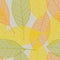 Orange, yellow and green openwork leaves on a light background,  vector pattern