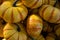 Orange and Yellow Pumpkins in Bushel