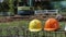 orange and Yellow Safety helmet (hard hat) for engineer, safety officer, or architect.