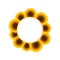 Orange Yellow Sunflower Banner Wreath isolated on White Background. Vector Illustration