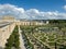 The Orangery in the castle of Versailles