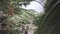 Orangery with tropical plants view from a balcony