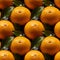 Oranges Background Orange Seamless Fruit Pattern