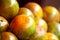 Oranges of biological cultivation