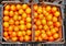 Oranges boxes