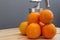 Oranges and chrome citrus juicer