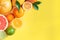 Oranges and citruses isolated on yellow background