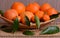 Oranges, clementines and mandarine with leaves