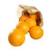 Oranges falling from sack isolated