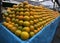 Oranges food yellow freshness street market