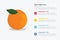 Oranges fruit infographics with some point title description for information template -