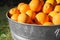 Oranges in Galvanized Metal Tub