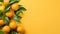 Oranges with leafs on orange background Top view. Fresh Oranges. Copy space. Horizontal format, for advertising, banner, poster,